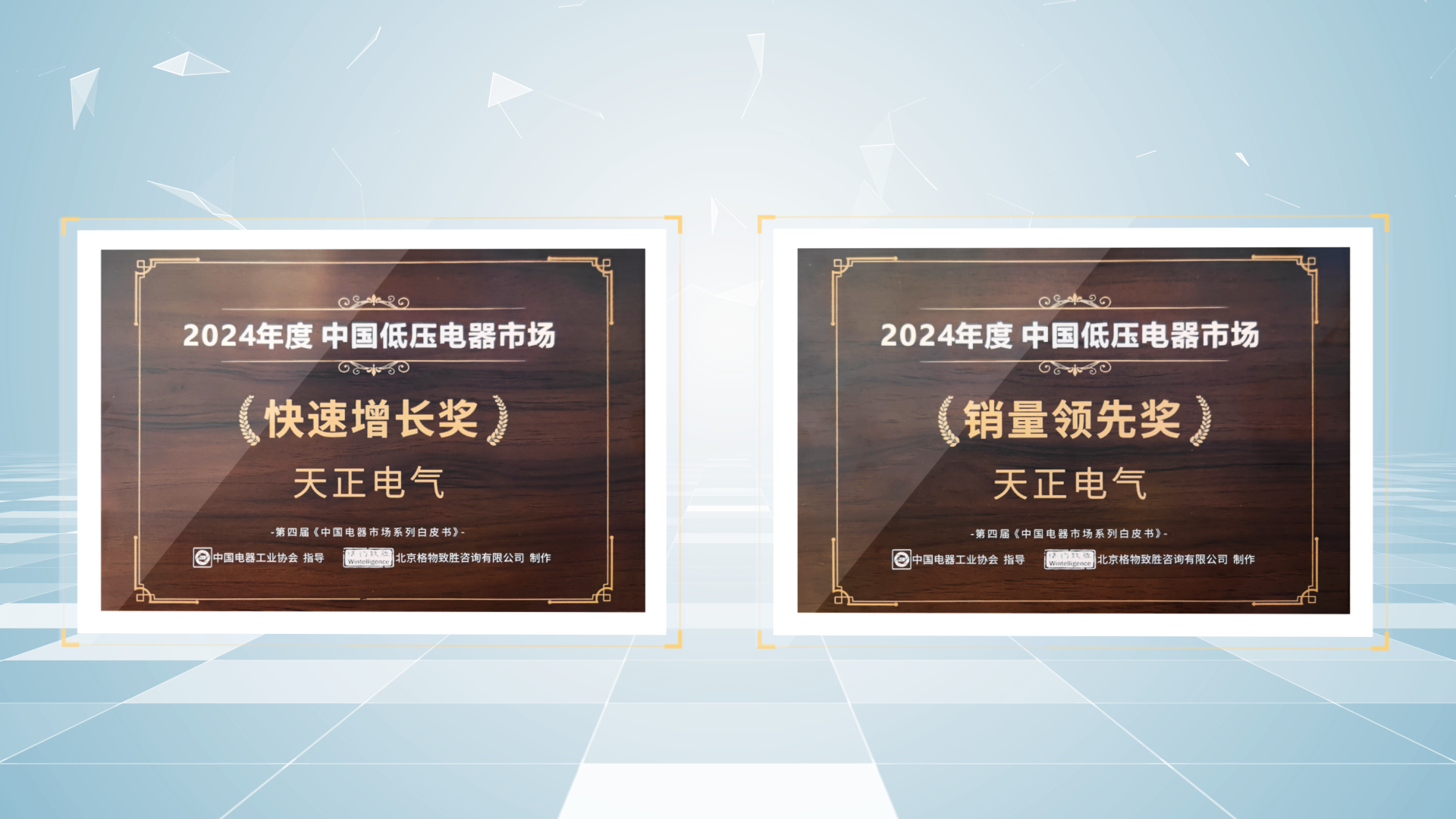 销量领先、快速增长丨ng28官网登录入口官方正版官方荣膺2项行业年度大奖